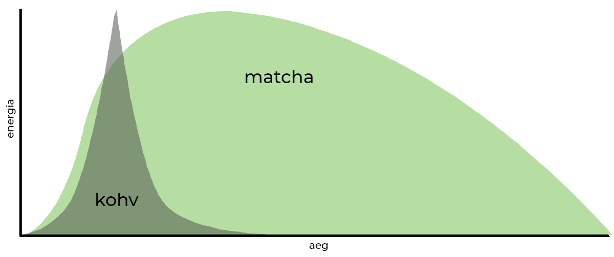 kohv-vs-matcha